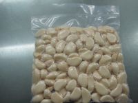 fresh garlic clove