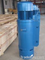 electric hoist