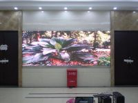 Indoor Full Color LED Display