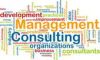 Consulting Services