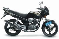 BYQ125-2