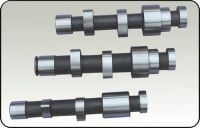 Cam Shaft