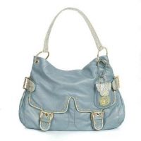 lady&#039;s handbag