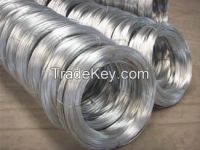 Galvanized Wire