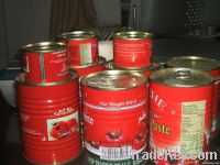Canned Tomato Paste