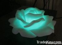 Electronic Lotus
