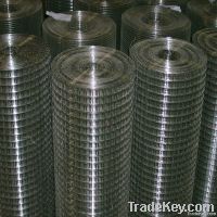 Welded Wire Mesh