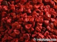 ANNATTO FOR SALE