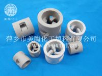 Ceramic Pall Ring