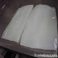 Giant Squid Fillets