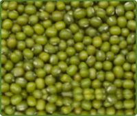 GREEN MUNG BEANS