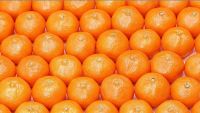 sell orange