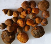 Ox Gallstones, Ox Cow Gallstones, Cow Gallstones, Natural Dried Ox,cow, Cattle , Bile Gallstone, Bezoar, Calculas Bovis, Niu Huang