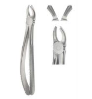 Extracting Forceps English Pettren