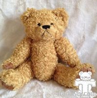 Plush Toy Teddy Bear