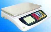 Dual display LCD/LED counting scale