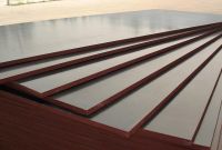 construction plywood