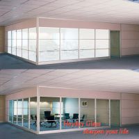 Smart Glass From China