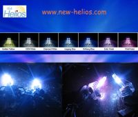 HID Xenon bulbs