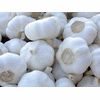 Garlic 5.5cm-6.0cm