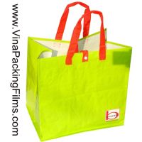PP Woven Shopping Bags