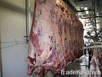 Halal Chicken & Meat