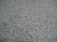 pearl flower G383 granite