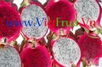 https://cn.tradekey.com/product_view/Dragon-Fruit-pitaya--1670513.html