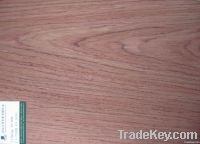 Engineered veneer-Bubinga