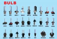 auto bulbs