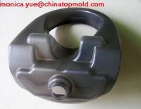 Auto Parts    Plastic Blowing Mold