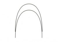 Orthodontic Wire