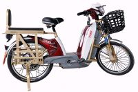 Electric Motorbike