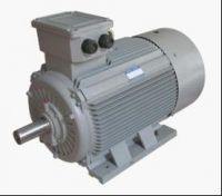 ELECTRIC MOTOR