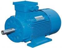 Electrical Motors
