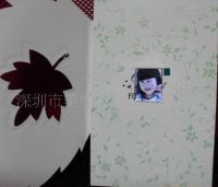 Digital Photo Frame Cards