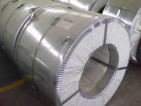 Galvanized steel coil/sheet