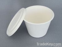 biodegradable  food bowl