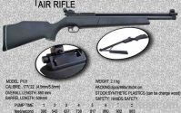 pump air rifle