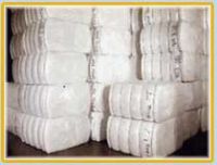 Cotton Bales