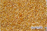 Peanut Kernel, Yellow Corn