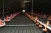 Poultry house equipment