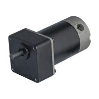 DC Parallel Shaft Geared Motors