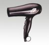 Professional Hair Dryer