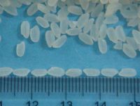 Good Sushi Rice - Round Grain Rice