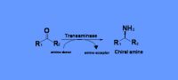 W-transaminase
