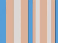 Ag/Cu Clad Strip