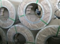 Galvanized Steel Coil