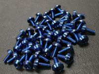 Titanium Screw