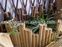 bamboo border